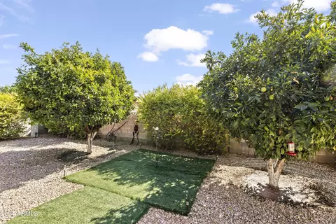 Exterior - 4019 E Calypso Ave, Mesa, AZ 85206 photo 6 of 7