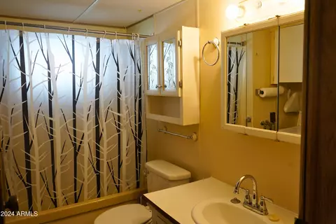 11435 E Apache Trl #51, Apache Junction, AZ 85120 photo 19