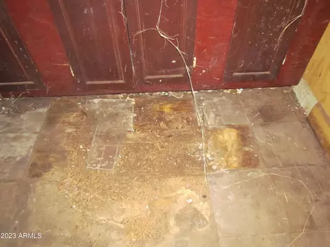 Other - 617 E 17th St, Douglas, AZ 85607 photo 15 of 32