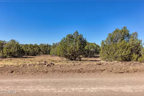67 County Road 8221 -- #275, Concho, AZ 85924