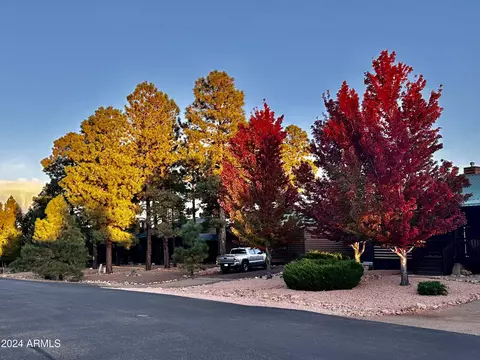 2323 S Buffalo Loop S, Overgaard, AZ 85933 photo 39