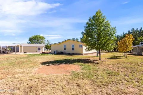 9745 E Chippewa St, Hereford, AZ 85615 photo 34