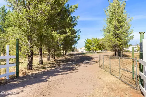 9745 E Chippewa St, Hereford, AZ 85615 photo 43