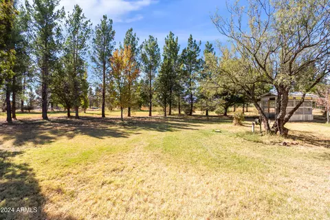 9745 E Chippewa St, Hereford, AZ 85615 photo 40