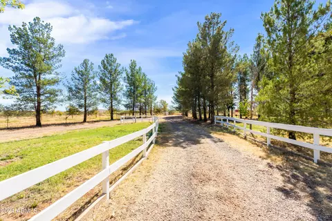 9745 E Chippewa St, Hereford, AZ 85615 photo 5