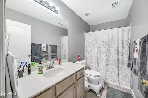 Bath - 1178 E Betsy Ln, Gilbert, AZ 85296 photo 3 of 3