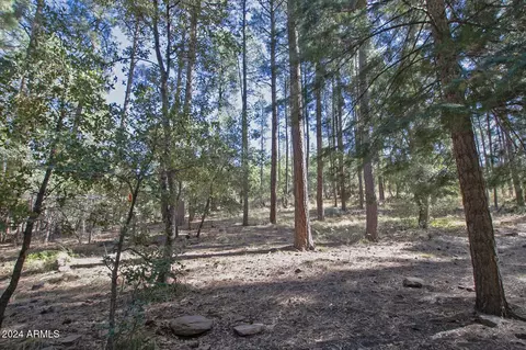 5107 N Walnut Ln, Pine, AZ 85544 photo 43