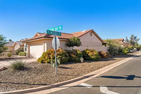 26226 S Flame Tree Dr, Sun Lakes, AZ 85248
