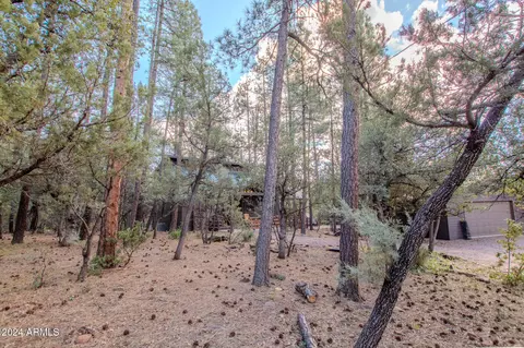 5255 N Peach Ln, Pine, AZ 85544 photo 45