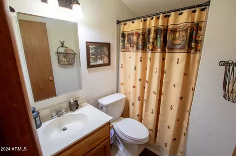 5255 N Peach Ln, Pine, AZ 85544 photo 41