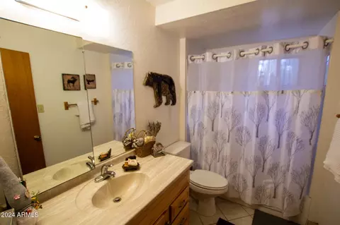 5255 N Peach Ln, Pine, AZ 85544 photo 33