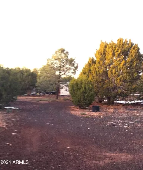 91 County Road N8158 -- #017F, Concho, AZ 85924