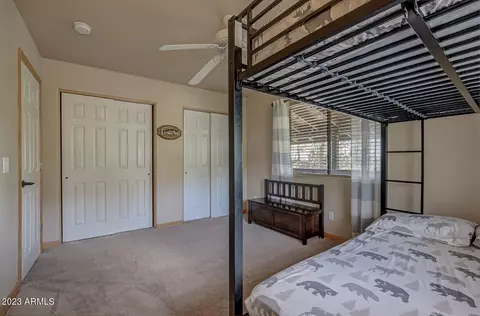 6740 W Mystical Cir, Pine, AZ 85544 photo 22