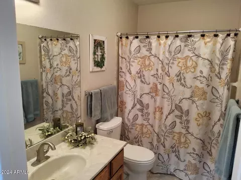 Bath - 1751 E Cherokee Dr E, Douglas, AZ 85607 photo 3 of 4