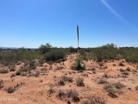 NNNN S Via Coyote -- #4, Benson, AZ 85602
