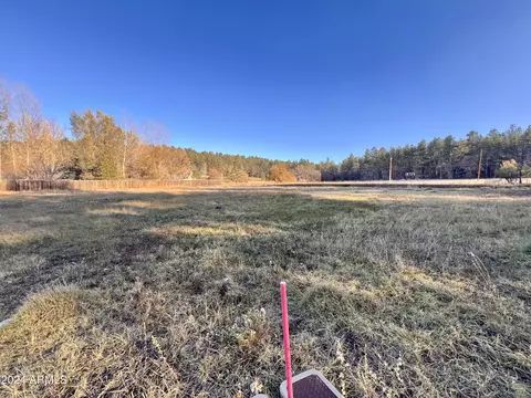 2445 S Jan Ln #61, Pinetop, AZ 85935