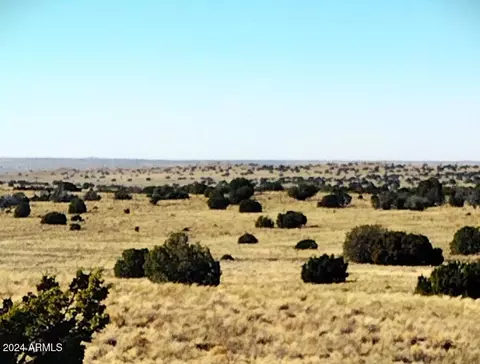 Parcel 19 Sec 18 T20n R28e -- #-, Sanders, AZ 86512