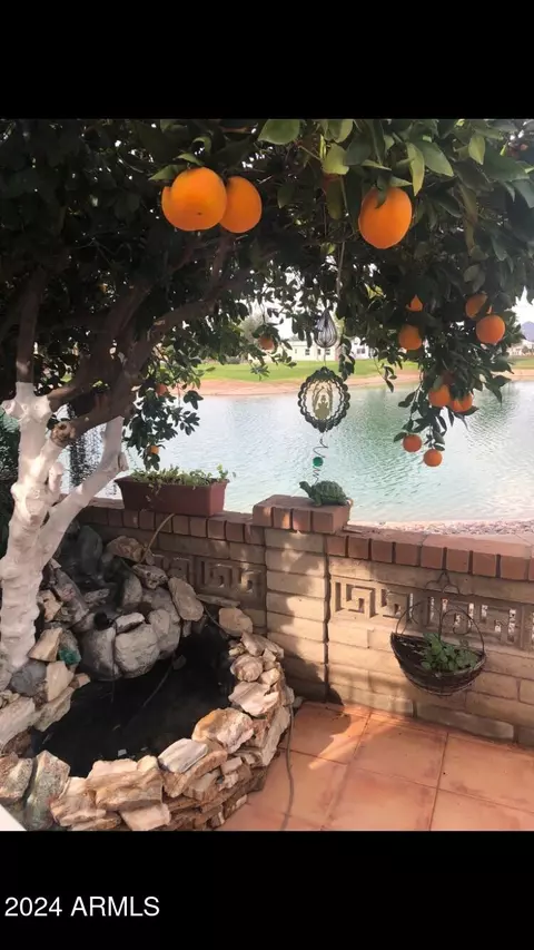 2234 W San Juan Cir, Apache Junction, AZ 85119 photo 48