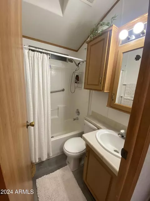2234 W San Juan Cir, Apache Junction, AZ 85119 photo 29