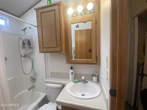 2234 W San Juan Cir, Apache Junction, AZ 85119 photo 27
