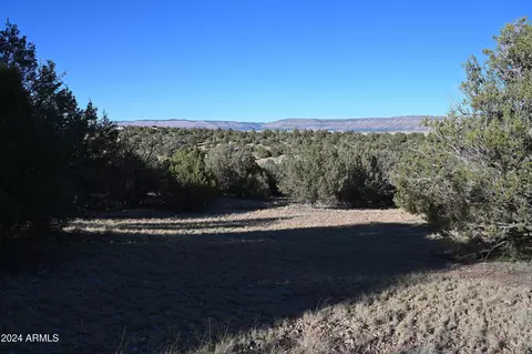 56222 N Dorado Rd #2836, Seligman, AZ 86337