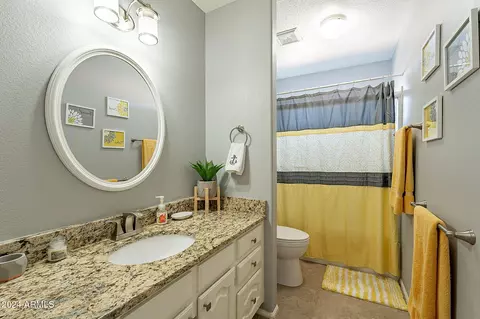 Bath - 242 E Stonebridge Dr, Gilbert, AZ 85234 photo 3 of 6