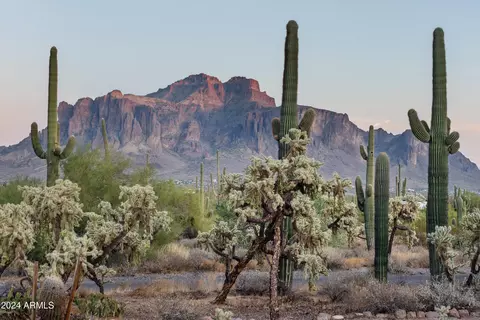 1575 E Moon Vista St, Apache Junction, AZ 85119 photo 20
