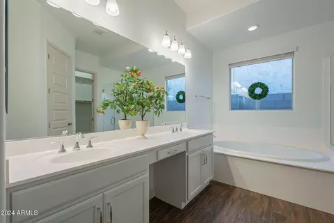 Bath - 10728 E Tarragon Ave, Mesa, AZ 85212 photo 2 of 9