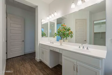 Bath - 10728 E Tarragon Ave, Mesa, AZ 85212 photo 3 of 9