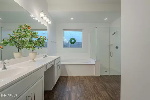 Bath - 10728 E Tarragon Ave, Mesa, AZ 85212 photo 1 of 9