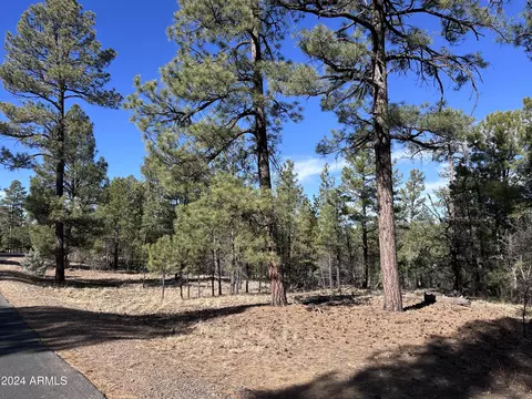 4500 W Fox Glove Ln #32, Show Low, AZ 85901