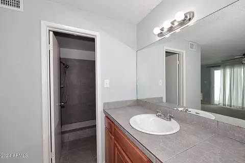 728 E Dobbins Rd, Phoenix, AZ 85042 photo 17