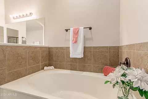 Bath - 6202 E Mckellips Rd #141, Mesa, AZ 85215 photo 3 of 4