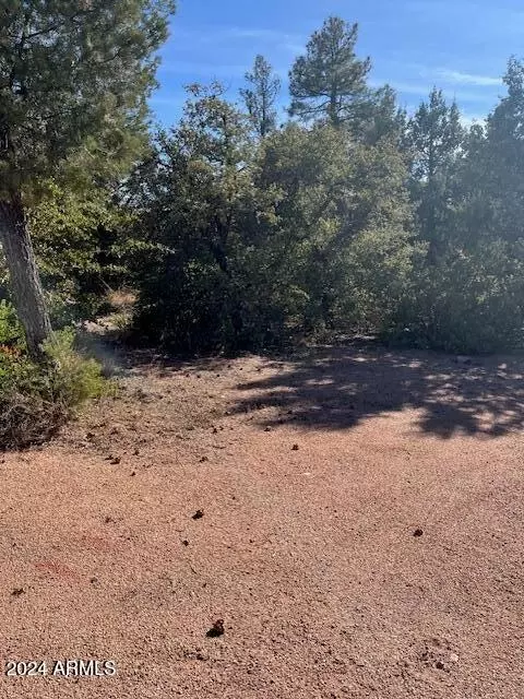 lot8 S Forest Ridge Ct #8, Payson, AZ 85541