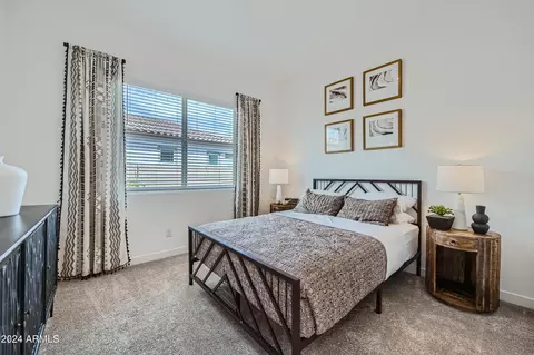 920 W Saddle Run, Apache Junction, AZ 85120 photo 19
