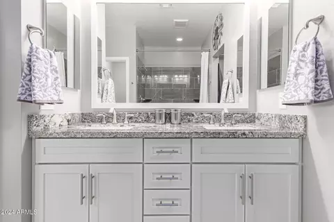 Bath - 10643 E Twister Ave, Mesa, AZ 85212 photo 1 of 4