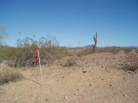 31122 W Wildcat Dr #153, Unincorporated County, AZ 85361