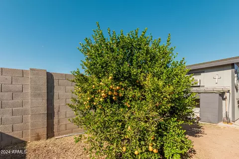 213 W Scott Ave, Gilbert, AZ 85233 photo 35