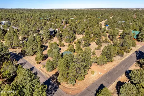 2938 Ransack Rd, Overgaard, AZ 85933 photo 32