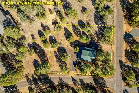 2938 Ransack Rd, Overgaard, AZ 85933 photo 35
