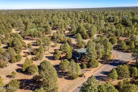 2938 Ransack Rd, Overgaard, AZ 85933 photo 34