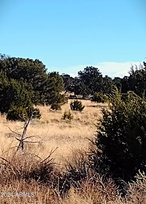 lot276 Elk Valley Rnch #276, Saint Johns, AZ 85936