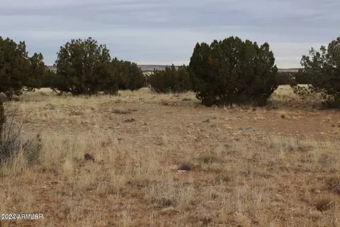 2131 Pinion Rd #015D, Heber, AZ 85928
