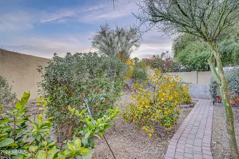 1550 E Redfield Rd, Phoenix, AZ 85022 photo 50