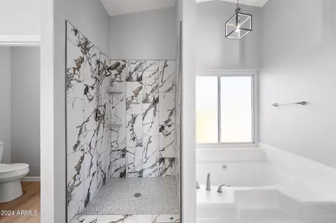 Bath - 509 S Honeysuckle Ln, Gilbert, AZ 85296 photo 3 of 6