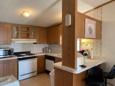 2528 E Mckellips Rd #131, Mesa, AZ 85213 photo 33