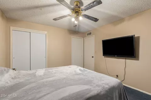6044 E Decatur St, Mesa, AZ 85205 photo 15