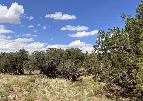 4062 Apache Rd #593 AND 594, Snowflake, AZ 85937