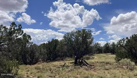 4062 Apache Rd #593 AND 594, Snowflake, AZ 85937 photo 2