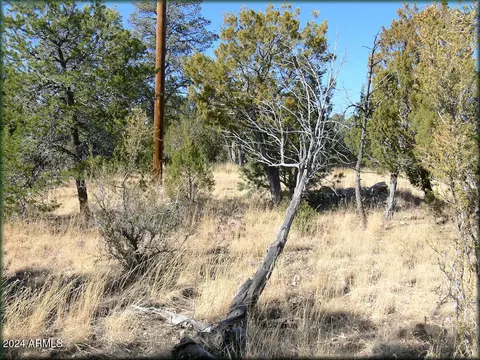 3326 Bear Heights Rd #5, Heber, AZ 85928